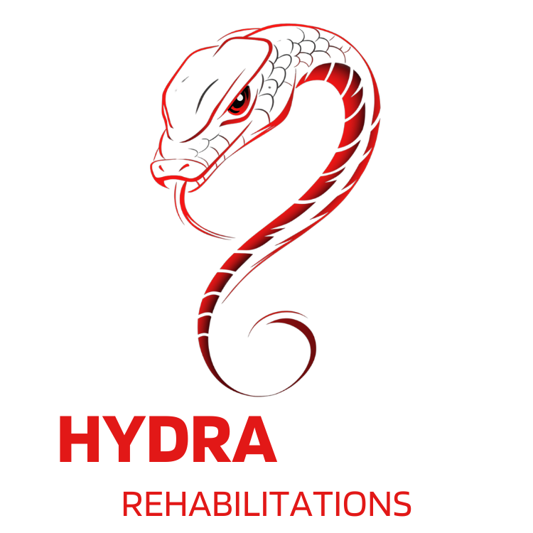 Hydra Liner Rehabilitations