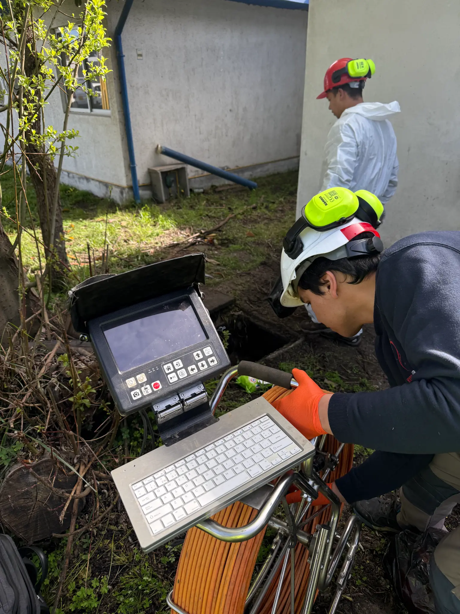 Limpieza de red sanitaria